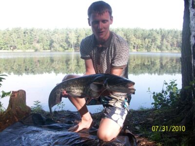 Wels catfish, 5.5 kg — Ilgis