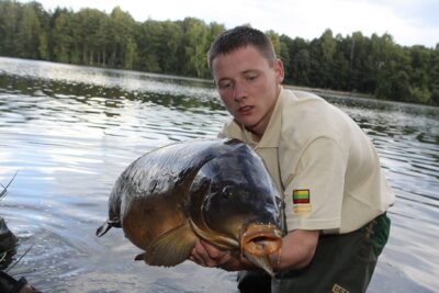 Carp, 14.5 kg — Ilgis