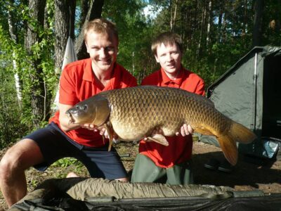 Carp, 15.3 kg — Ilgis