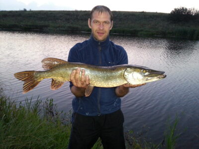 Northern Pike
