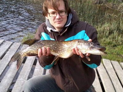 Northern Pike, 2.7 kg