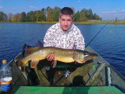 Northern Pike, 6.1 kg