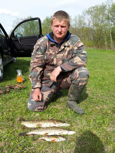 Northern Pike ×2 — Sartai