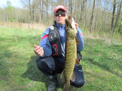 Northern Pike, 3.7 kg — Viešis