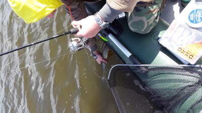 Northern Pike — Sartai