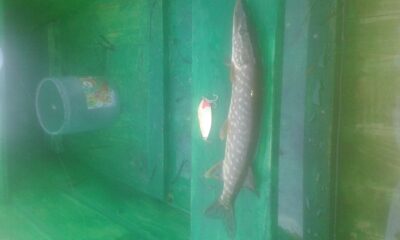 Northern Pike — Šventoji