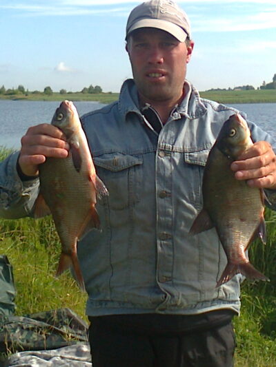 Carp bream ×2
