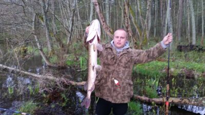 Northern Pike, 5.8 kg — Kalotės