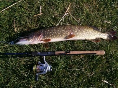 Northern Pike, 1.8 kg — Elektrėnai reservoir