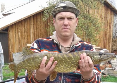 Northern Pike, 3.2 kg