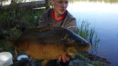 Carp, 8.4 kg — Ilgis