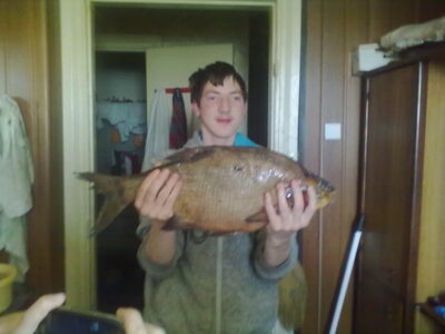 Carp bream, 1.8 kg