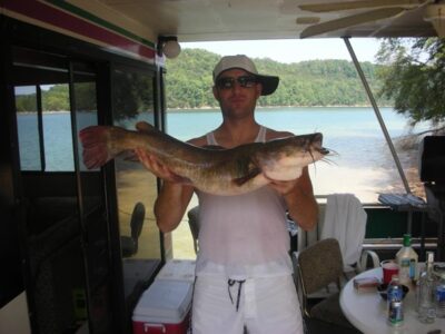 Wels catfish