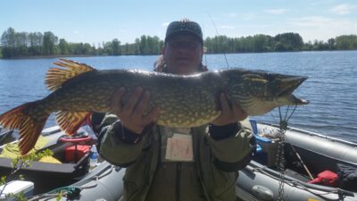 Northern Pike, 6.5 kg — Prūtas