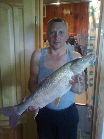 Barbel, 5.0 kg