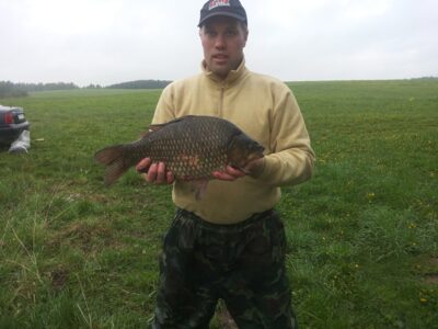 Prussian carp, 3.0 kg