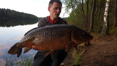 Carp, 12.8 kg — Ilgis