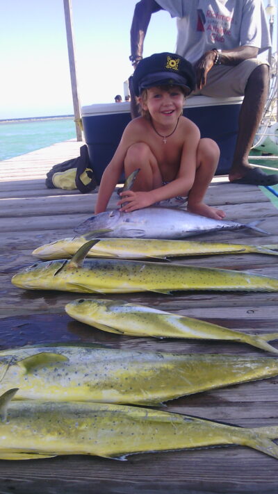Mahi-mahi ×9