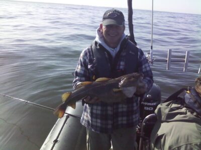 Atlantic cod, 3.6 kg — Baltic Sea