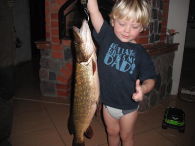 Northern Pike, 2.4 kg