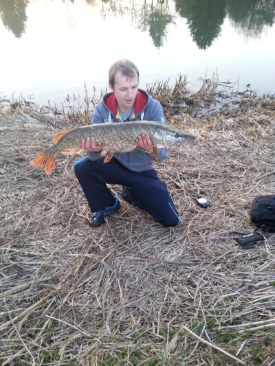 Northern Pike, 6.6 kg