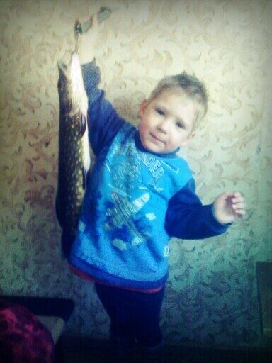 Northern Pike, 2.0 kg