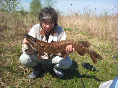 Northern Pike, 4.7 kg