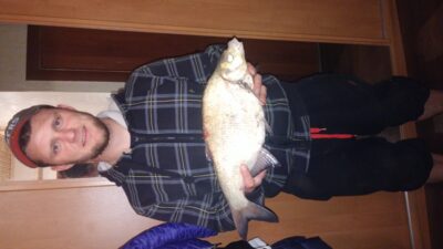 Carp bream