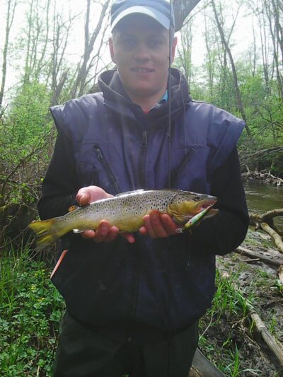 Brown Trout, 0.8 kg