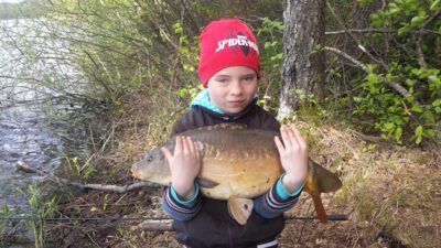 Carp, 5.0 kg — Ilgis