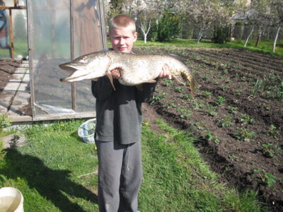 Northern Pike, 9.4 kg