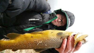 Šlakis, 1.1 kg — Elliðavatn