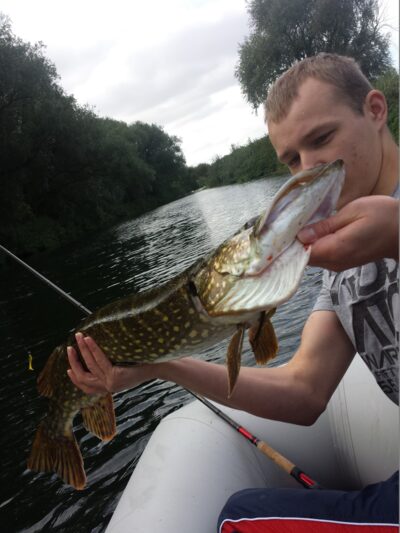 Northern Pike