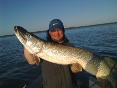 Northern Pike, 15.5 kg