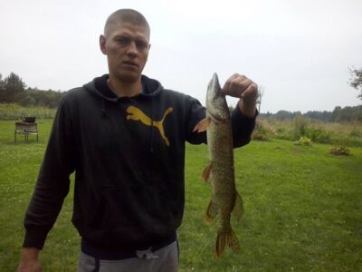 Northern Pike, 1.3 kg — Bradesas