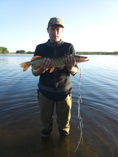 Northern Pike, 1.7 kg — Elektrėnai reservoir