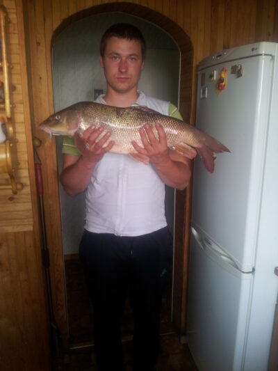 Barbel, 5.1 kg