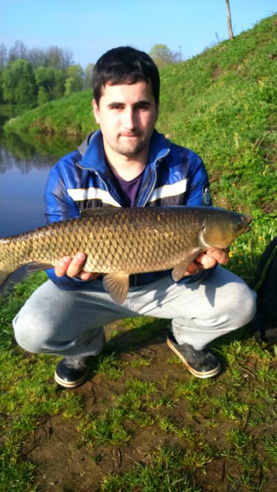 Grass carp, 4.0 kg