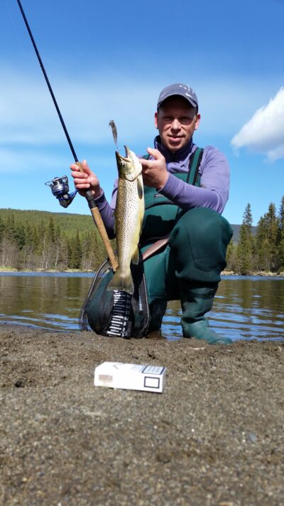 Brown Trout, 1.3 kg
