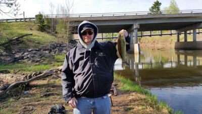 White bass, 0.5 kg