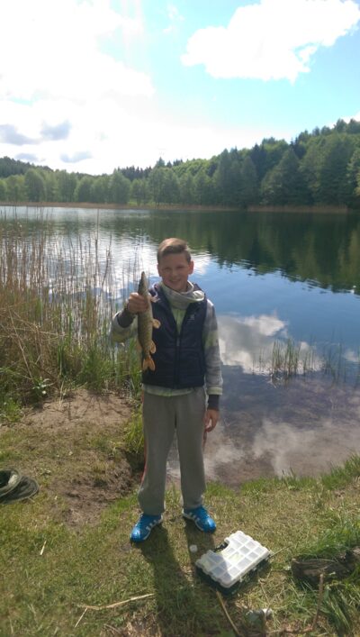Northern Pike, 0.7 kg — Akmena