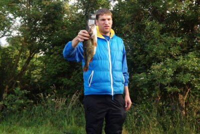 Eurasian perch, 1.0 kg