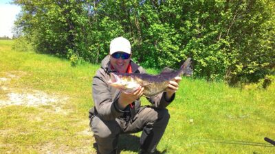 Pike perch, 3.0 kg — Kaulakių