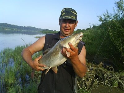 Barbel, 5.6 kg — Neman River