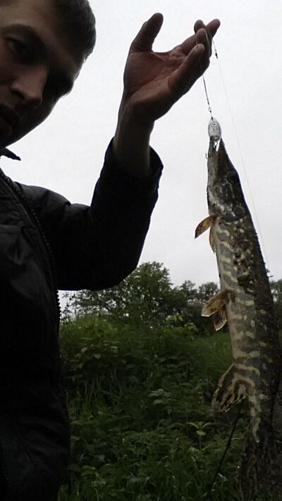Northern Pike, 1.0 kg — Rokantiškių