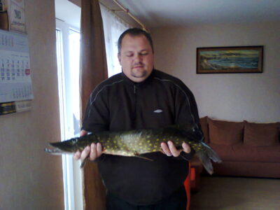 Northern Pike, 3.4 kg
