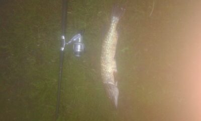Northern Pike — Šventoji