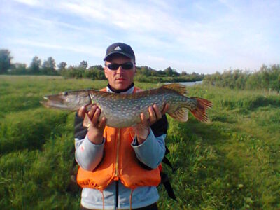 Northern Pike, 3.3 kg — Neman River