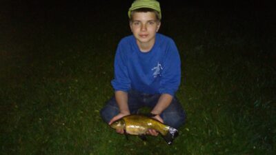 Tench, 0.9 kg — Baltelis