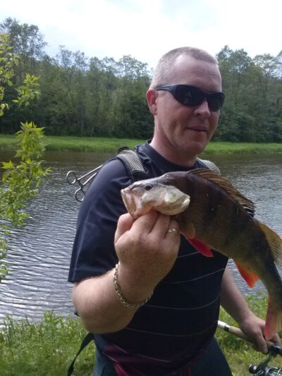 Eurasian perch